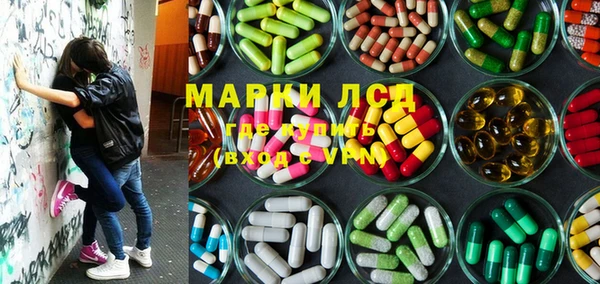 apvp Алексин